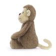 Bashful Monkey Sale